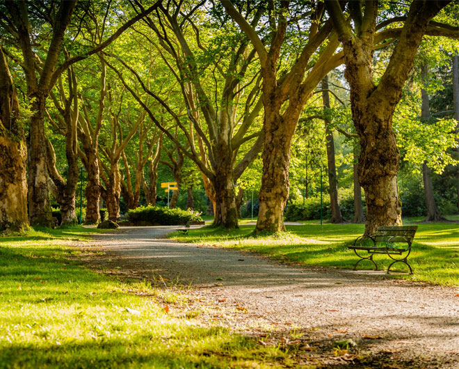Neighbourhood - Charter Place